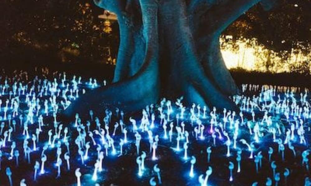 Duše Ellori všechny díly