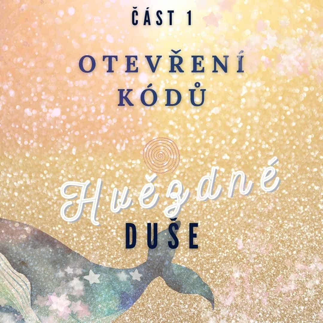 1. část Otevření kódů